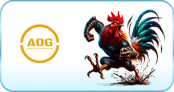 AOG ĐÁ GÀ - Link Vào SHBET